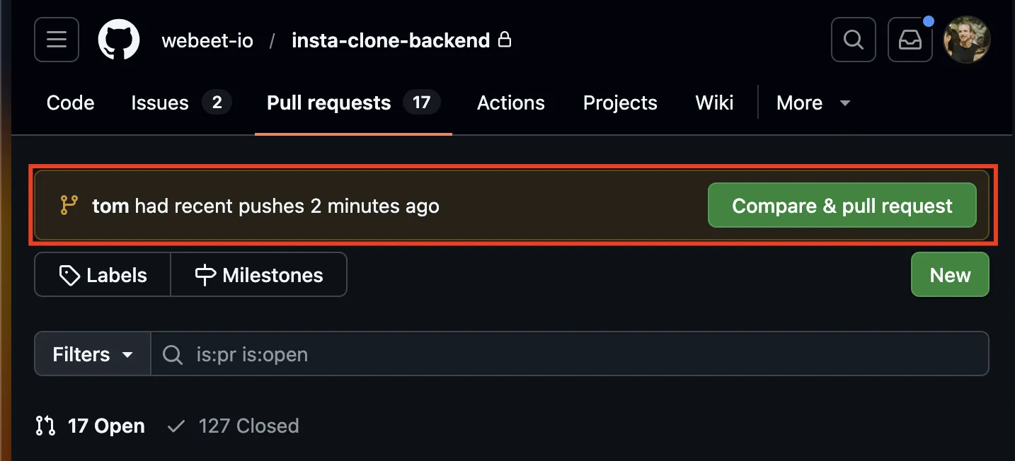 Compare & pull request